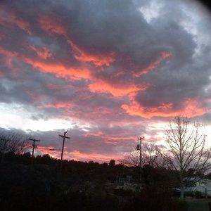 Meet your Posher, Carolyn